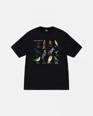 Black Stüssy California Birds T-Shirts | USA TAHQXY706