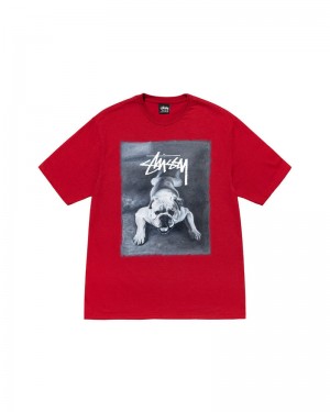 Red Stüssy Bulldog T-Shirts | USA YTZKIL462