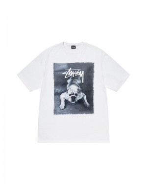 White Stüssy Bulldog T-Shirts | USA UQSZVE320