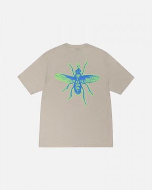 White Stüssy Housefly Off T-Shirts | USA IQPLTW926