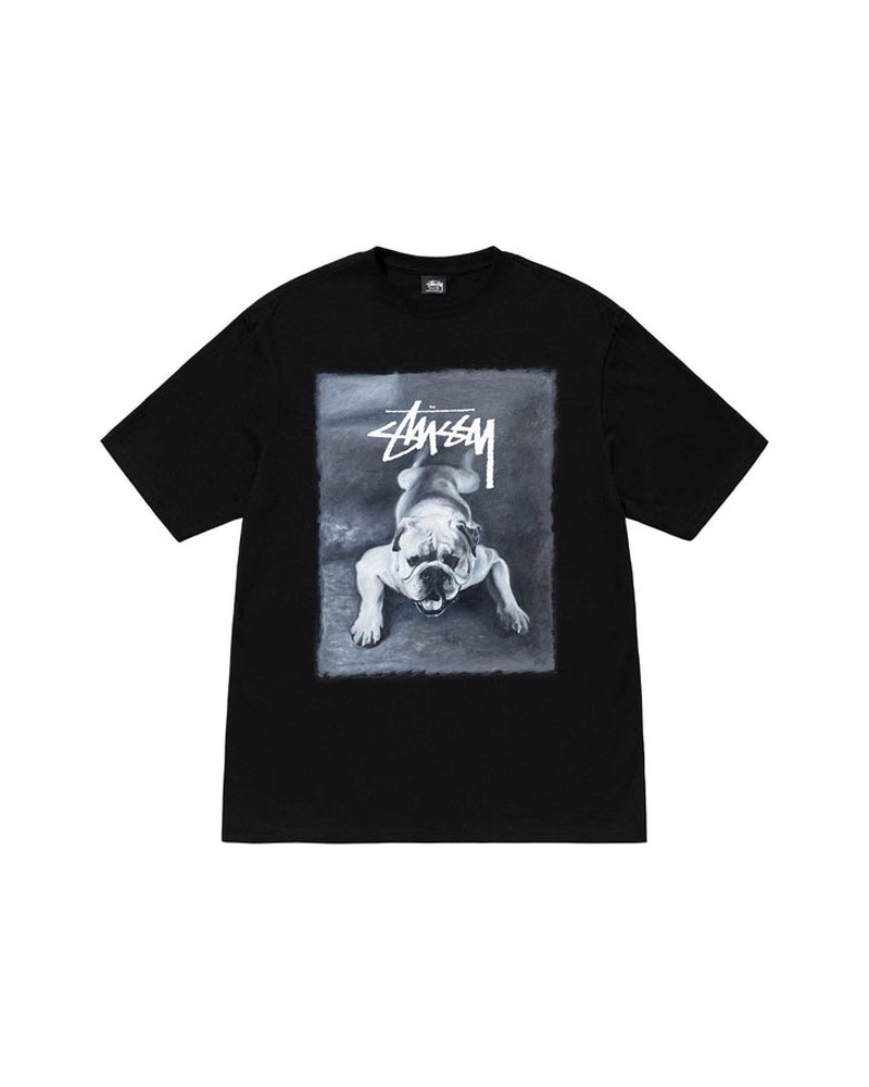 Black Stüssy Bulldog T-Shirts | USA RFNTWH209