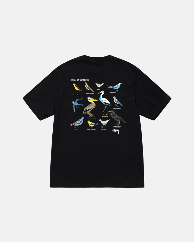 Black Stüssy California Birds T-Shirts | USA TAHQXY706