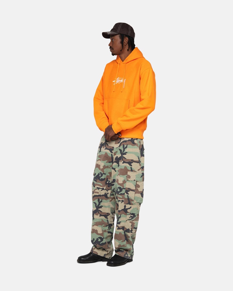 Camo Stüssy Surplus Cargo Ripstop Pants | USA BFIJCN143