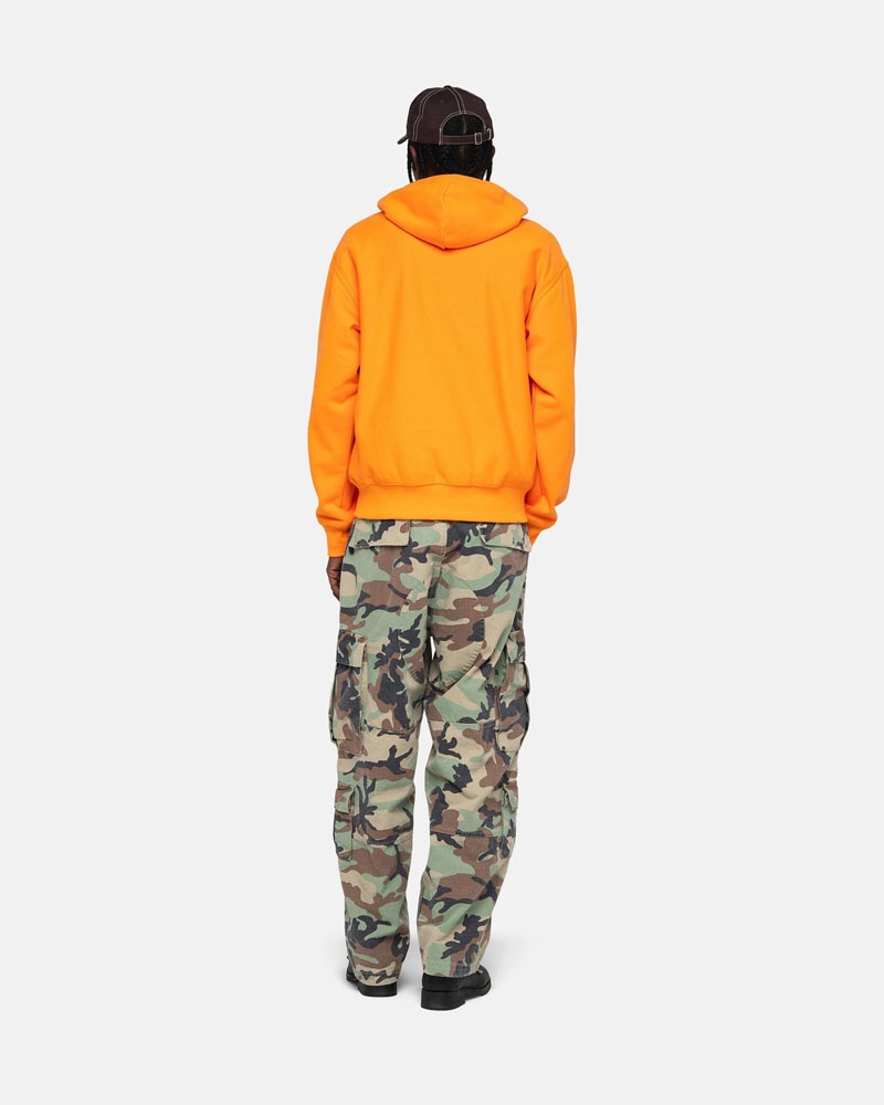 Camo Stüssy Surplus Cargo Ripstop Pants | USA BFIJCN143