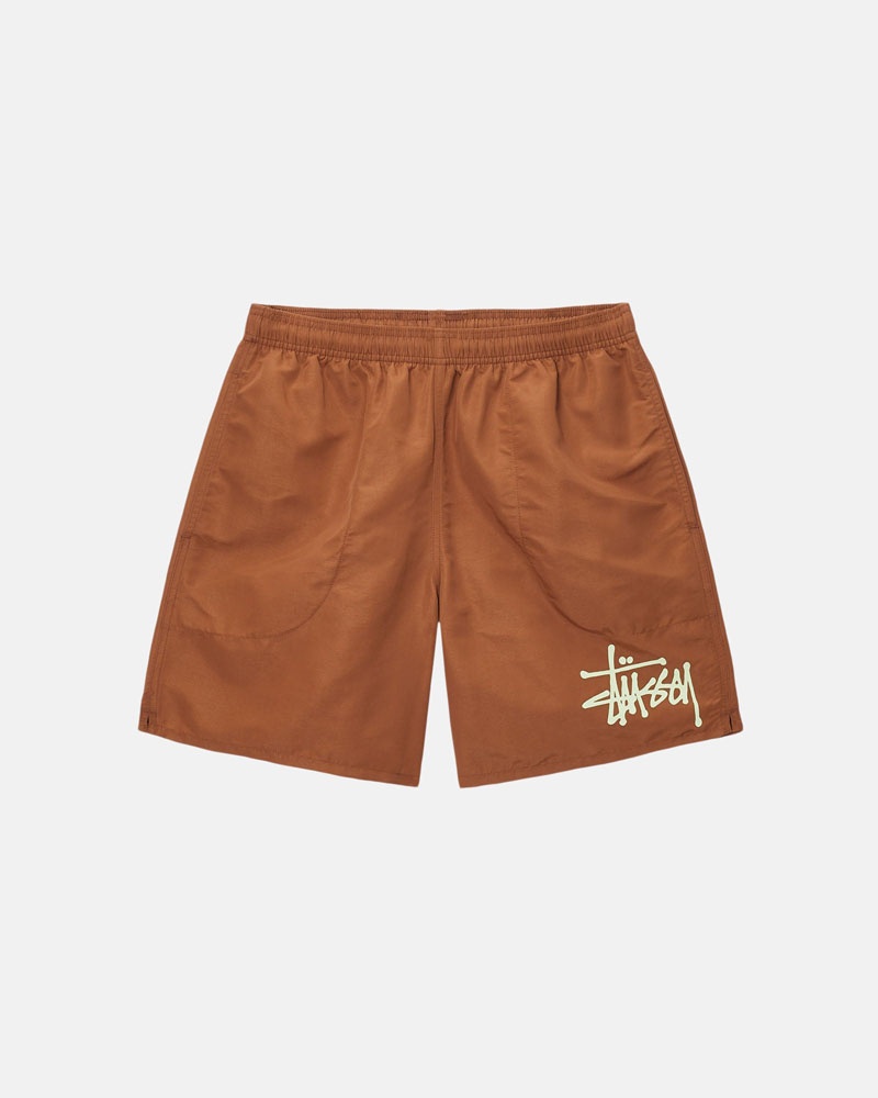 Coffee Stüssy Water Short Big Basic Shorts | USA RAMFCE945