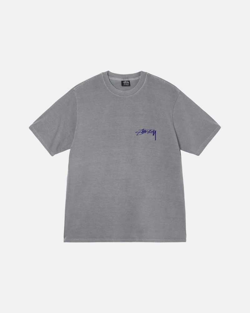 Grey Stüssy Arachnid Pigment Dyed T-Shirts | USA OPJCEU324