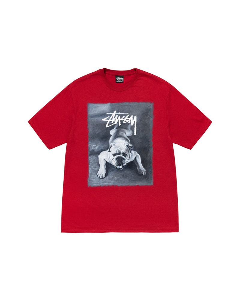 Red Stüssy Bulldog T-Shirts | USA YTZKIL462