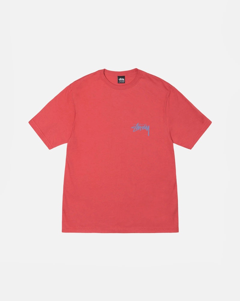 Red Stüssy Classroom T-Shirts | USA XQOECK462